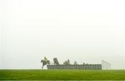 6 December 2020; Finest Evermore, with David Mullins up, leads the field over the fourth during the Voler La Vedette Mares Novice Hurdle at Punchestown Racecourse in Kildare. Photo by Seb Daly/Sportsfile