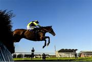 12 December 2020; Forrard Away, with Keith Donoghue up, leads the field over the last on their way to finishing third in the Irish Racing Industry Fundraiser For Children's Health Foundation Crumlin In Memory Of Pat Smullen Handicap Hurdle at Fairyhouse Racecourse in Ratoath, Meath. Photo by Seb Daly/Sportsfile