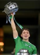 13 December 2020; Pat Ryan of Limerick lifts the Liam MacCarthy Cup following the GAA Hurling All-Ireland Senior Championship Final match between Limerick and Waterford at Croke Park in Dublin. Photo by Ramsey Cardy/Sportsfile