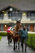 18 December 2020; Yukon Lil in the parade ring prior to the NavanRacecourse.ie Rated Novice Steeplechase at Navan Racecourse in Meath. Photo by Seb Daly/Sportsfile