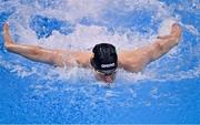 18 December 2020; Cillian Melly of National Centre Dublin competing in the 100m butterfly event during day 2 of the Irish Winter Meet at Sport Ireland National Aquatic Centre in the Sport Ireland Campus, Dublin. Photo by Eóin Noonan/Sportsfile