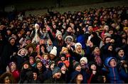 16 February 2020; Supporters in the main stand celebrate a late Wexford point during the Allianz Hurling League Division 1 Group B Round 3 match between Wexford and Kilkenny at Chadwicks Wexford Park in Wexford. Photo by Ray McManus/Sportsfile