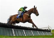 26 December 2020; Shadow Rider, with Mark Walsh up, jump the last on their way to winning the Eden Capital Maiden Hurdle during the Limerick Christmas Festival at Limerick Racecourse in Limerick. Photo by Matt Browne/Sportsfile