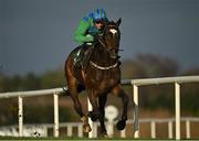 27 December 2020; Appreciate It, with Paul Townend up, on their way to winning the Paddy Power Future Champions Novice Hurdle on day two of the Leopardstown Christmas Festival at Leopardstown Racecourse in Dublin. Photo by Seb Daly/Sportsfile
