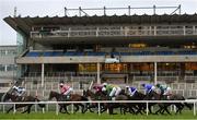 27 December 2020; A view of the field as they pass the empty grandstand during the 'Paddy Power Flat One' Flat Race on day two of the Leopardstown Christmas Festival at Leopardstown Racecourse in Dublin. Photo by Seb Daly/Sportsfile