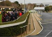 28 December 2020; A view of horses in the parade ring and empty public areas prior to the Tote.ie Maiden Hurdle on day three of the Leopardstown Christmas Festival at Leopardstown Racecourse in Dublin. Photo by Seb Daly/Sportsfile