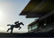 29 December 2020; A racing themed car bonnet ornament in front of the grandstand prior to racing on day four of the Leopardstown Christmas Festival at Leopardstown Racecourse in Dublin. Photo by Seb Daly/Sportsfile