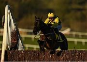 1 January 2021; Al Boum Photo, with Paul Townend up, jumps the last on their way to winning the Savills New Year's Day Steeplechase at Tramore Racecourse in Waterford. Photo by Seb Daly/Sportsfile