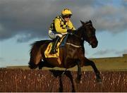 1 January 2021; Al Boum Photo, with Paul Townend up, jumps the last during the second circuit on their way to winning the Savills New Year's Day Steeplechase at Tramore Racecourse in Waterford. Photo by Seb Daly/Sportsfile