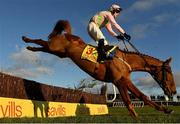 1 January 2021; Jockey David Mullins is unseated from his mount Brahma Bull during the Savills New Year's Day Steeplechase at Tramore Racecourse in Waterford. Photo by Seb Daly/Sportsfile