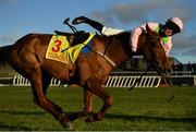 1 January 2021; Jockey David Mullins is unseated from his mount Brahma Bull during the Savills New Year's Day Steeplechase at Tramore Racecourse in Waterford. Photo by Seb Daly/Sportsfile