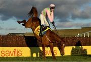 1 January 2021; Jockey David Mullins is unseated from his mount Brahma Bull during the Savills New Year's Day Steeplechase at Tramore Racecourse in Waterford. Photo by Seb Daly/Sportsfile
