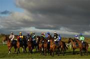 1 January 2021; Jockeys and their mounts prior to the start of the Tramore Medical Clinic Handicap Hurdle at Tramore Racecourse in Waterford. Photo by Seb Daly/Sportsfile