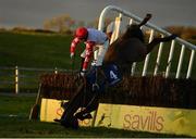 1 January 2021; Tongie and jockey Richard Condon up fall at the last during the Tom Carroll Memorial Handicap Steeplechase at Tramore Racecourse in Waterford. Photo by Seb Daly/Sportsfile