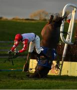 1 January 2021; Tongie and jockey Richard Condon up fall at the last during the Tom Carroll Memorial Handicap Steeplechase at Tramore Racecourse in Waterford. Photo by Seb Daly/Sportsfile