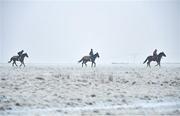 7 January 2021; A string of horses from the yard of racehorse trainer Willie McCreery make their way to the gallops at the Curragh, in Kildare. Photo by Seb Daly/Sportsfile