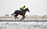 7 January 2021; Trainer Diego Dias schools a horse on the gallops at the Curragh, in Kildare. Photo by Seb Daly/Sportsfile