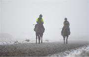 7 January 2021; Trainer Diego Dias, left, and stable hand Diego Lima school horses on the gallops at the Curragh, in Kildare. Photo by Seb Daly/Sportsfile