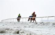 7 January 2021; Trainer Diego Dias, left, and stable hand Diego Lima school horses on the gallops at the Curragh, in Kildare. Photo by Seb Daly/Sportsfile