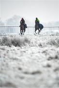 7 January 2021; Trainer Diego Dias, right, and stable hand Diego Lima school horses on the gallops at the Curragh, in Kildare. Photo by Seb Daly/Sportsfile