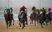 11 January 2021; Stay With Me, second from left, with Chris Hayes up, leads the field on their way to winning the Irishinjuredjockeys.com Handicap DIV I at Dundalk Stadium, in Louth. Photo by Seb Daly/Sportsfile