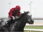 11 January 2021; Stay With Me, with Chris Hayes up, on their way to winning the Irishinjuredjockeys.com Handicap DIV I at Dundalk Stadium, in Louth. Photo by Seb Daly/Sportsfile