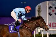 11 January 2021; Woodrow, with Rory Cleary up, passes the post to win the Hollywoodbets Horse Racing and Sports Betting Maiden at Dundalk Stadium, in Louth. Photo by Seb Daly/Sportsfile