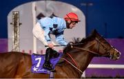 11 January 2021; Woodrow, with Rory Cleary up, passes the post to win the Hollywoodbets Horse Racing and Sports Betting Maiden at Dundalk Stadium, in Louth. Photo by Seb Daly/Sportsfile