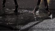 11 January 2021; A horse walks through a puddle in the parade ring prior to the Join Us On Instagram @dundalk_stadium Handicap DIV II at Dundalk Stadium, in Louth. Photo by Seb Daly/Sportsfile