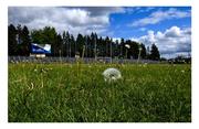 10 May 2020; Leitrim take the old ploy of lying in the long grass to extremes. The playing surface at Páirc Seán Mac Diarmada has turned into  a dandelion museum, covered in wild flowers on the day Mayo should have been in town – and could have been ambushed. Photo by Piaras Ó Mídheach/Sportsfile This image may be reproduced free of charge when used in conjunction with a review of the book &quot;A Season of Sundays 2020&quot;. All other usage © Sportsfile