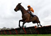 7 February 2021; Heaven Help Us, with Richard Condon up, jumps the last on their way to winning the Irish Stallion Farms EBF Paddy Mullins Mares Handicap Hurdle on day two of the Dublin Racing Festival at Leopardstown Racecourse in Dublin. Photo by Seb Daly/Sportsfile