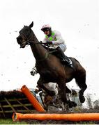 7 February 2021; Koshari, with Paul Townend up, jumps the last during the William Fry Handicap Hurdle on day two of the Dublin Racing Festival at Leopardstown Racecourse in Dublin. Photo by Seb Daly/Sportsfile