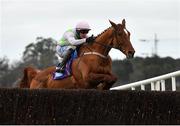 7 February 2021; Monkfish, with Paul Townend up, jumps the last on their way to winning the Flogas Novice Steeplechase on day two of the Dublin Racing Festival at Leopardstown Racecourse in Dublin. Photo by Seb Daly/Sportsfile