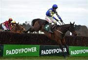 7 February 2021; Kemboy, with Danny Mullins up, jumps the last on their way to winning the Paddy Power Irish Gold Cup on day two of the Dublin Racing Festival at Leopardstown Racecourse in Dublin. Photo by Seb Daly/Sportsfile