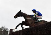 7 February 2021; Kemboy, with Danny Mullins up, jumps the last during the first circuit on their way to winning the Paddy Power Irish Gold Cup on day two of the Dublin Racing Festival at Leopardstown Racecourse in Dublin. Photo by Seb Daly/Sportsfile
