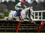 6 February 2021; Petit Mouchoir, with Bryan Cooper up, jumps the last the Chanelle Pharma Irish Champion Hurdle on day 1 of the Dublin Racing Festival at Leopardstown Racecourse in Dublin. Photo by Harry Murphy/Sportsfile