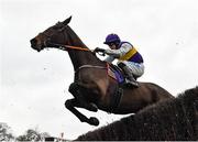 7 February 2021; Latest Exhibition, with Bryan Cooper up, during the Flogas Novice Steeplechase on day two of the Dublin Racing Festival at Leopardstown Racecourse in Dublin. Photo by Seb Daly/Sportsfile