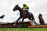 7 February 2021; Great Bear, with Darragh O'Keeffe up, during the Chanelle Pharma Novice Hurdle on day two of the Dublin Racing Festival at Leopardstown Racecourse in Dublin. Photo by Seb Daly/Sportsfile
