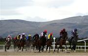 12 February 2021; Runners and riders during the Follow Us On Twitter @DundalkStadium Maiden at Dundalk Racecourse in Louth. Photo by Harry Murphy/Sportsfile