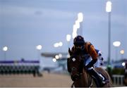 12 February 2021; Fox Fearless, with Darragh O'Keeffe up, ahead of the Find Us On Facebook @dundalkstadium Handicap at Dundalk Racecourse in Louth. Photo by Harry Murphy/Sportsfile