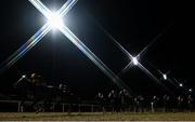 12 February 2021; (EDITOR'S NOTE: This image was created using a starburst filter) Runners and riders during the Irishinjuredjockeys.com Handicap at Dundalk Racecourse in Louth. Photo by Harry Murphy/Sportsfile