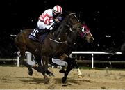 12 February 2021; Mutadaawel, with Robbie Colgan up, during the Irishinjuredjockeys.com Handicap at Dundalk Racecourse in Louth. Photo by Harry Murphy/Sportsfile