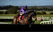 21 February 2021; Miss Pernickety, with JJ Slevin up, clear the last on their first time round during the Ladbrokes Ten Up Novice Steeplechase at Navan Racecourse in Meath. Photo by David Fitzgerald/Sportsfile