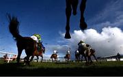 21 February 2021; Runners and riders clear the last during the Racing Again March 6th handicap steeplechase at Navan Racecourse in Meath. Photo by David Fitzgerald/Sportsfile