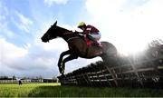 21 February 2021; Tiger Roll, with Keith Donoghue up, jumps the last during the Ladbrokes Ireland Boyne hurdle at Navan Racecourse in Meath. Photo by David Fitzgerald/Sportsfile