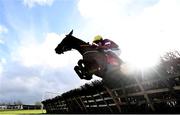 21 February 2021; Tiger Roll, with Keith Donoghue up, clear the last during the Ladbrokes Ireland Boyne hurdle at Navan Racecourse in Meath. Photo by David Fitzgerald/Sportsfile
