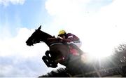 21 February 2021; Tiger Roll, with Keith Donoghue up, clear the last during the Ladbrokes Ireland Boyne hurdle at Navan Racecourse in Meath. Photo by David Fitzgerald/Sportsfile