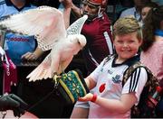 7 July 2013; Dublin supporter Darragh Doyle, a member of the St Marks Club in Tallaght, reacts to 'Fern' the Gyrfalcon on display on the Etihad Airways stand as part of their Abu Dhabi day in Croke Park. Leinster GAA Hurling Senior Championship Final, Galway v Dublin, Croke Park, Dublin. Picture credit: Ray McManus / SPORTSFILE
