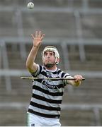 8 July 2013; Limerick's Mark Carmody during squad training ahead of their Munster GAA Hurling Senior Championship Final against Cork on Sunday July the 14th. Limerick Hurling Squad Training, Gaelic Grounds, Limerick. Picture credit: Diarmuid Greene / SPORTSFILE