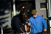 11 March 2021; Direct Fire, a horse trained by Mrs Denise Foster is paraded by Barney Flood prior to the Holycross Maiden hurdle at Thurles Racecourse in Tipperary. Photo by David Fitzgerald/Sportsfile